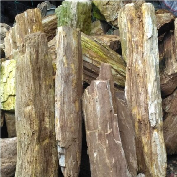 Batu Fosil Serat Kayu