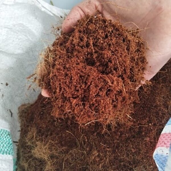Cocopeat Bebas Zat Tanin