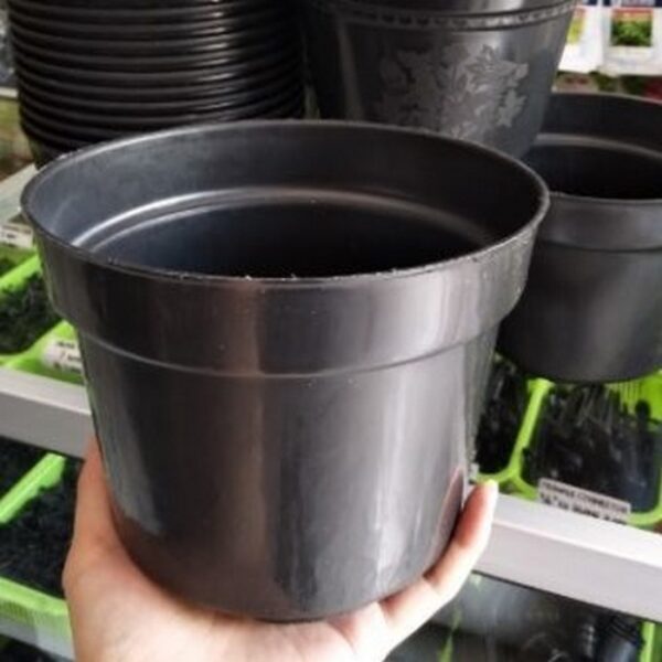 Pot Hitam 20 cm