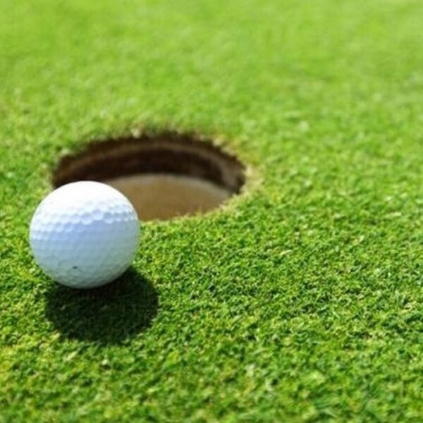 Rumput Golf