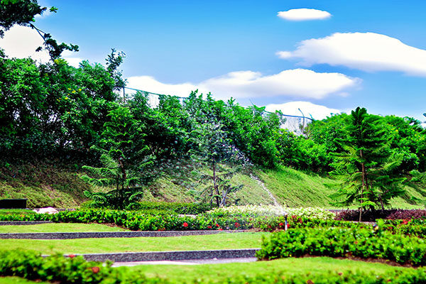 al azhar (5)