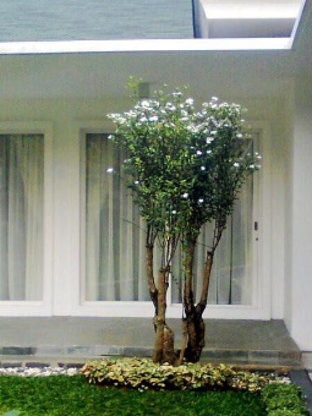 perum intercon jakbar (2) perum intercon jakbar (2)